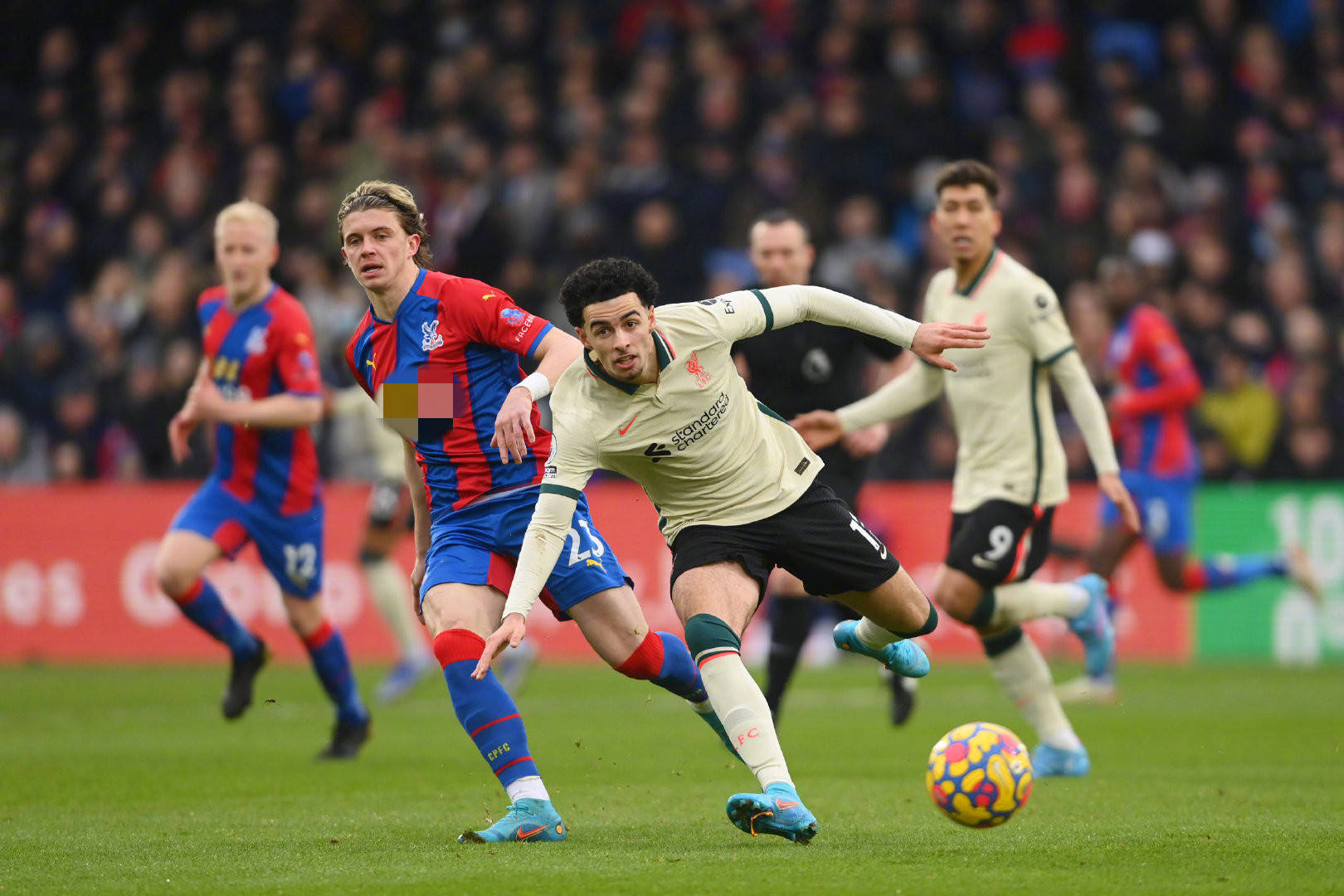 仅拖累决策 仅拖累决策